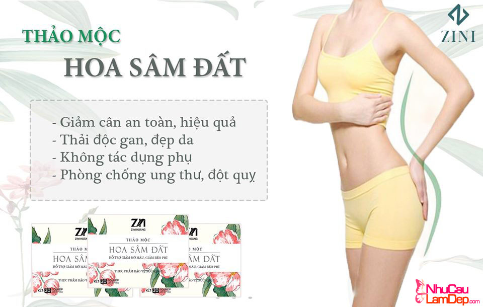 NhuCauLamDep.com