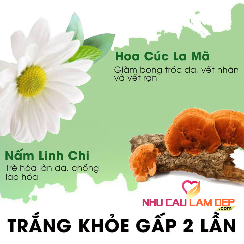 NhuCauLamDep.com