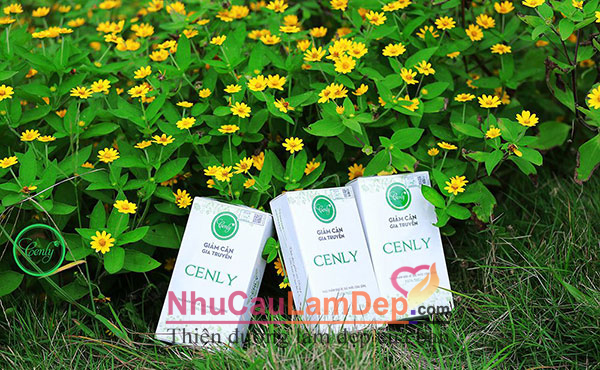 NhuCauLamDep.com